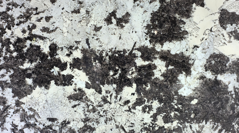 Snow Mountain Orchid Stone Snow Mountain Orchid stone