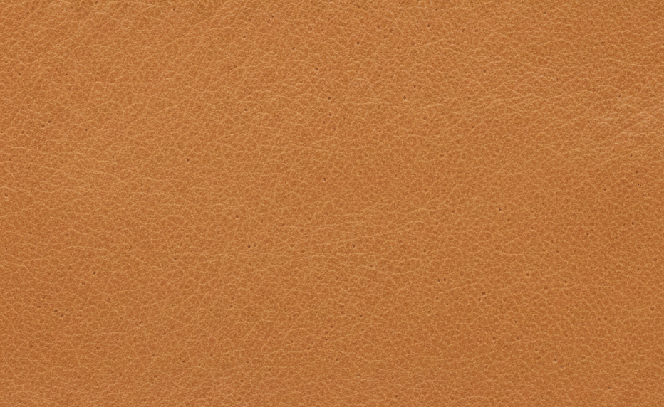 Caramel Tan Leather Finish Caramel tan leather material